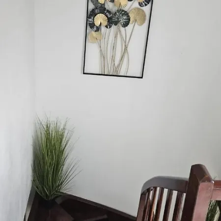 Costea Ferienhaus *